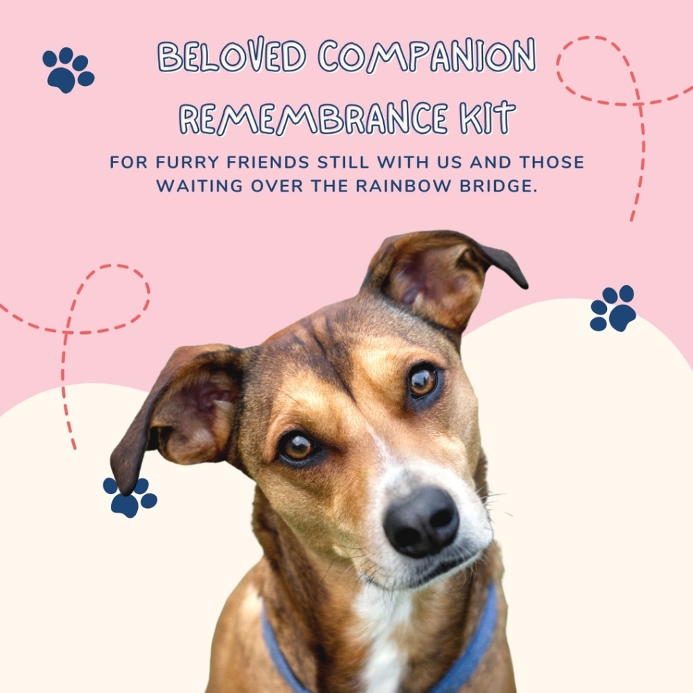 Beloved Companion Remembrance Kit for Dogs; Suncatcher, Fur Storage Ornament